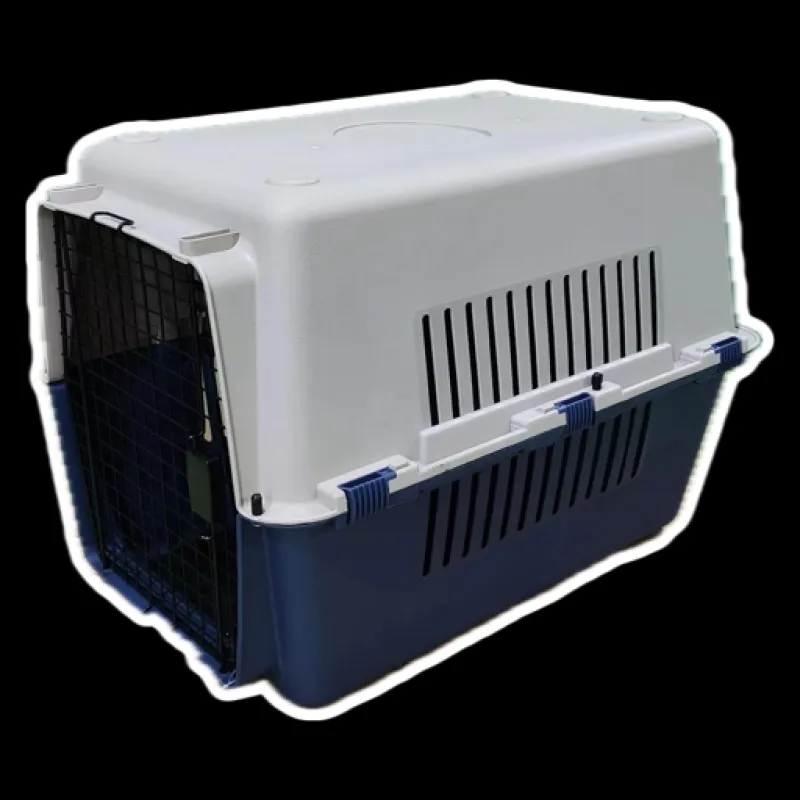 Comprar Guacal Grande Para Viaje en Electroshopy - Ángulo 2